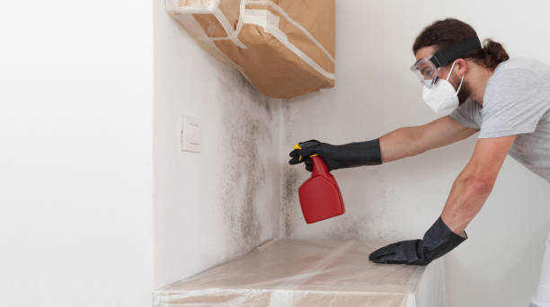 Professional Mold Remediation technician working in Wayland, MA