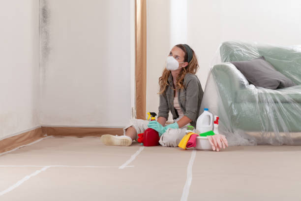 Reliable Mold Remediation contractor in Wayland, MA by WQB Mold Removal